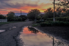 image_6483441-2